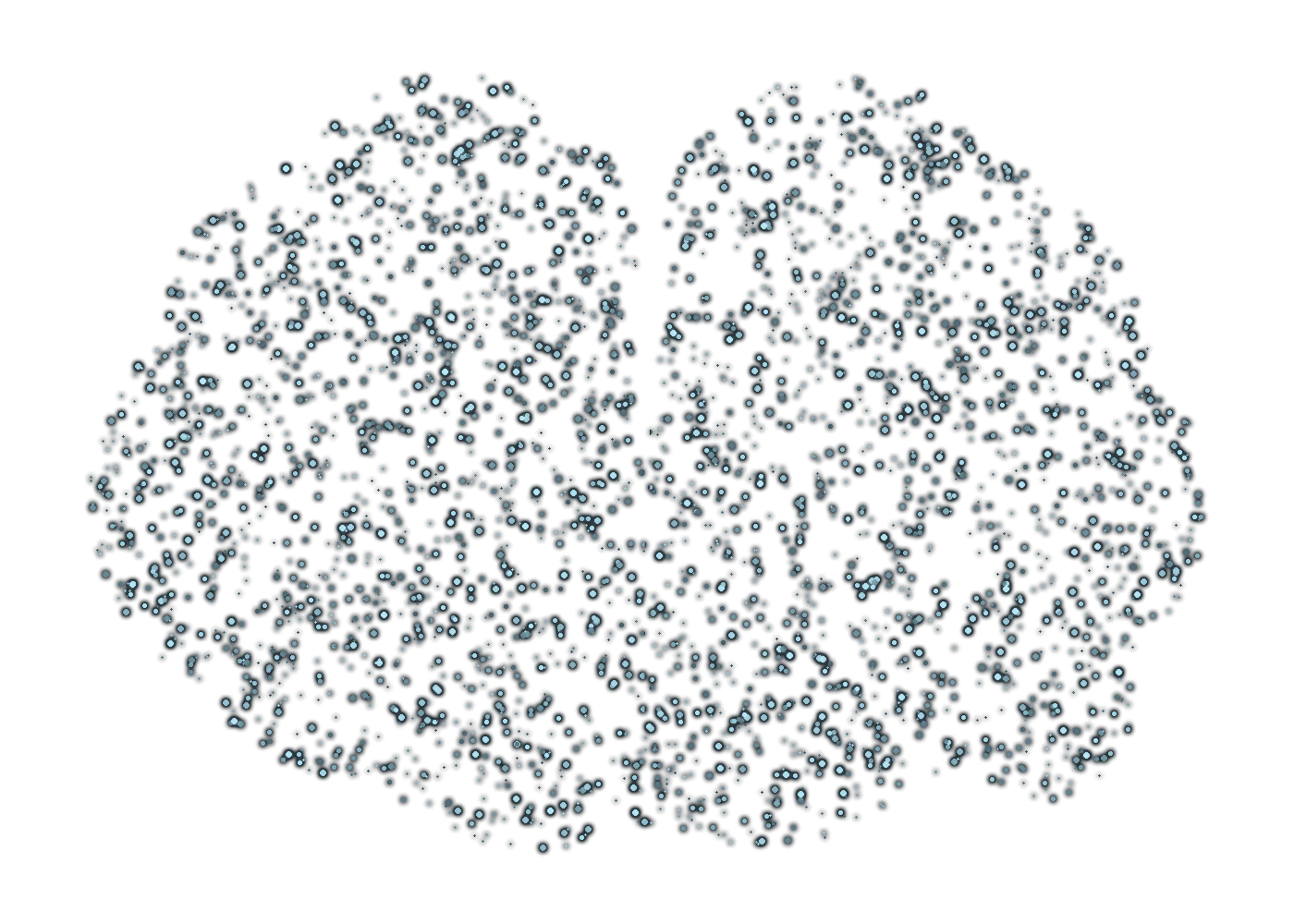 Particle brain rendering
